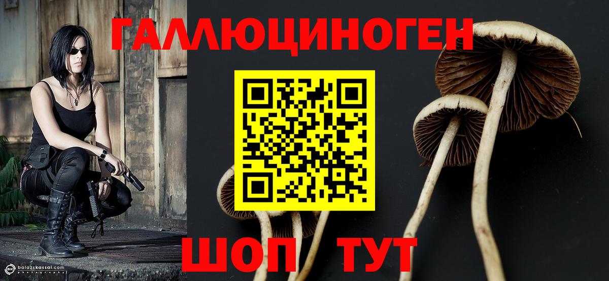 Псилоцибиновые грибы прущие грибы  Вход с VPN  Нижний Новгород  Галлюциногенные грибы Cubensis 